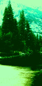 Yosemite